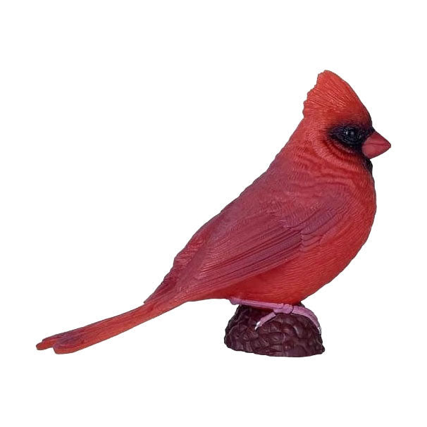 Mojo - garden birds rode kardinaal 381131