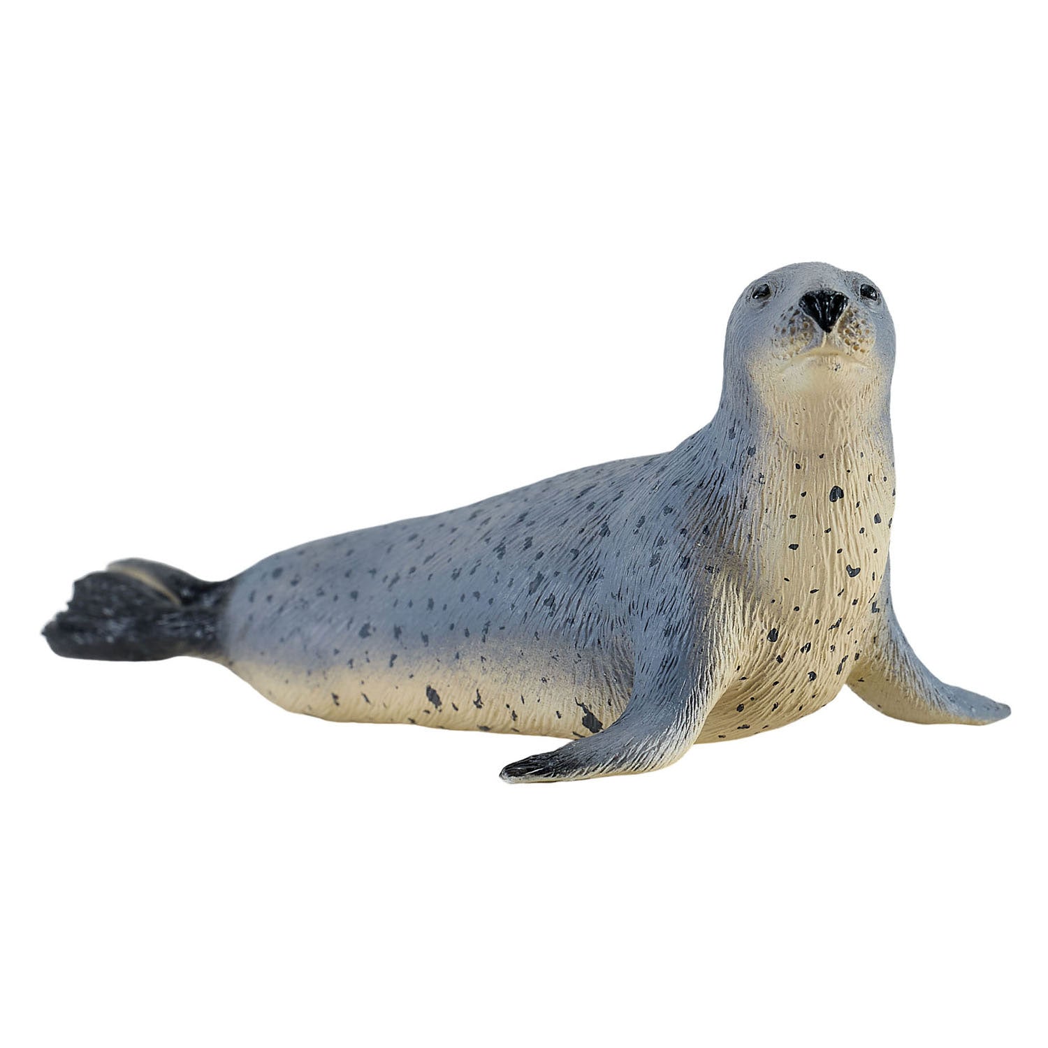 Mojo - grijze zeehond - 381134