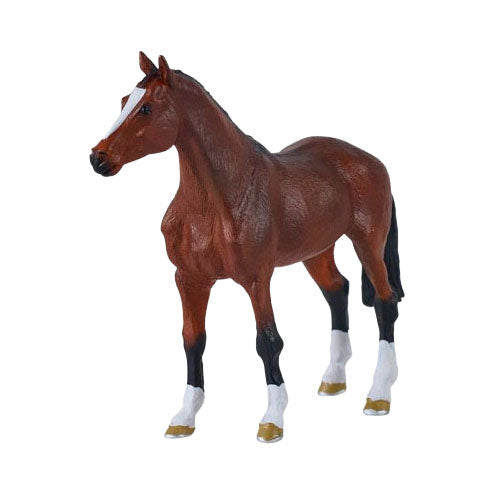 Mojo - koninklijk warmbloed paard - 381155