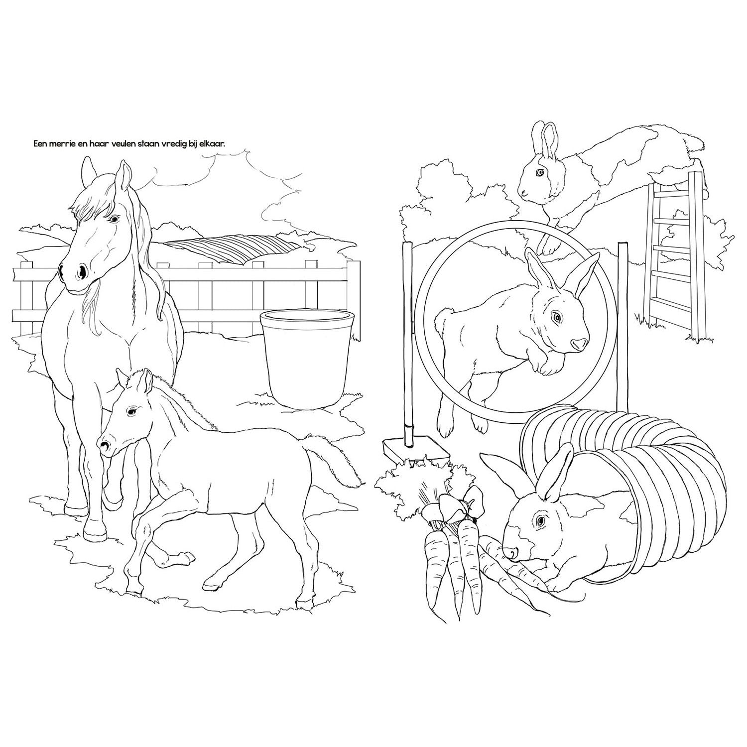 Selecta - Selecta Tactic boerderijdieren kleurboek - 48 pagina's - kleurboek voor kinderen - boerderij - vanaf 2 jaar