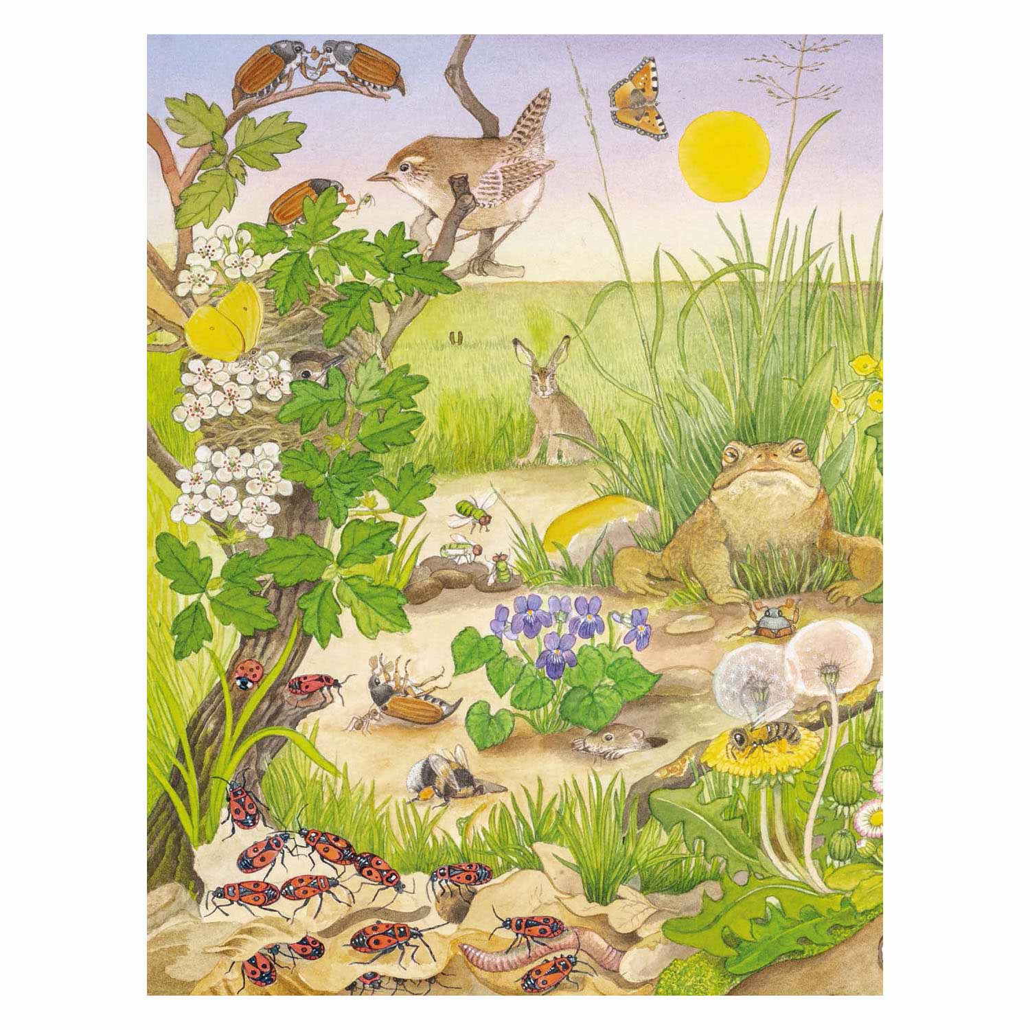 Deltas - Deltas Kijk- en zoekboek - kriebeldiertjes