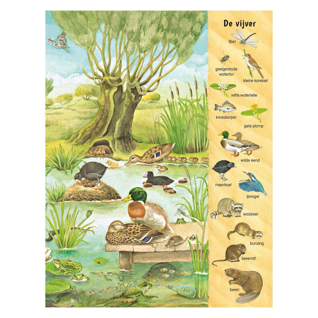 Deltas kijk- en zoekboek - bij het water