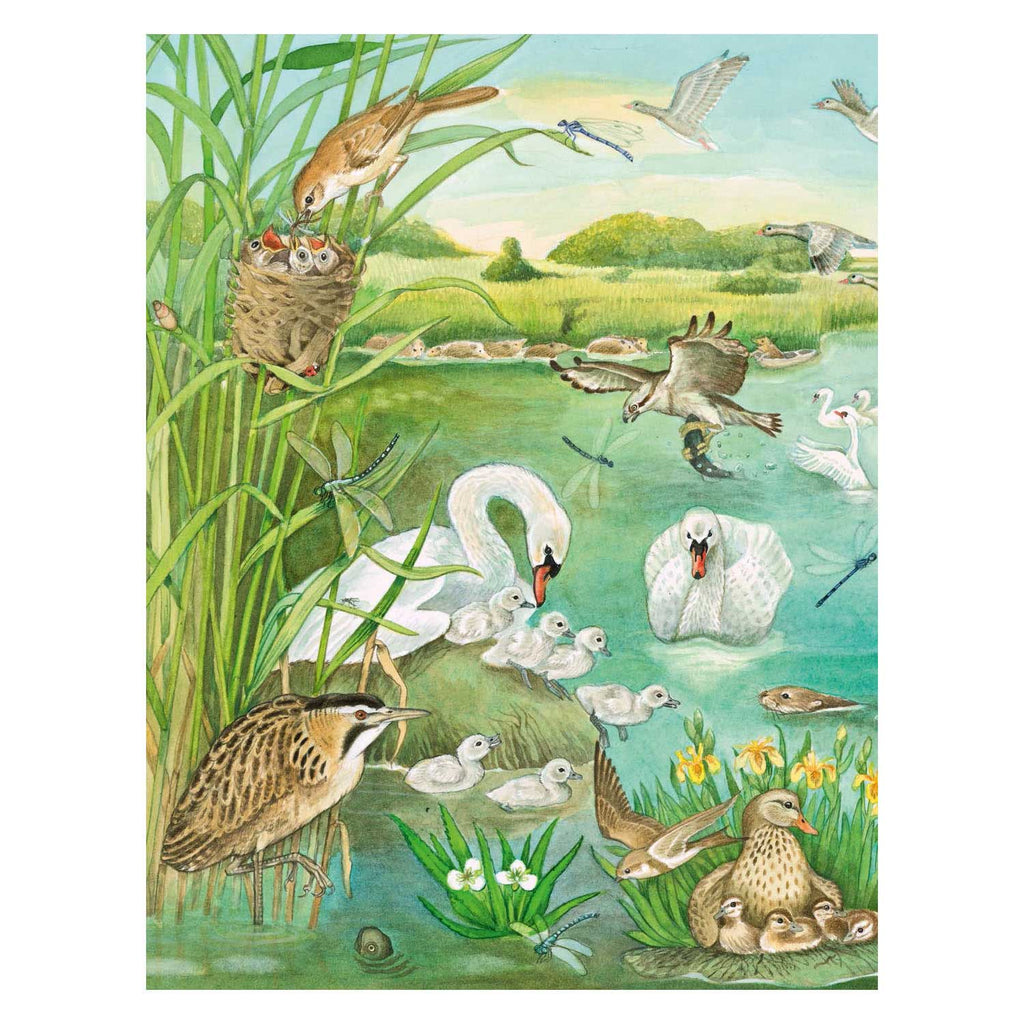Deltas kijk- en zoekboek - bij het water
