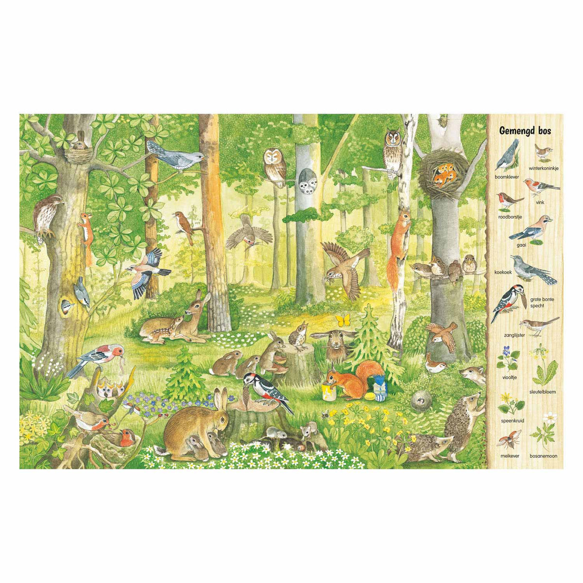 Deltas kijk- en zoekboek - in het bos