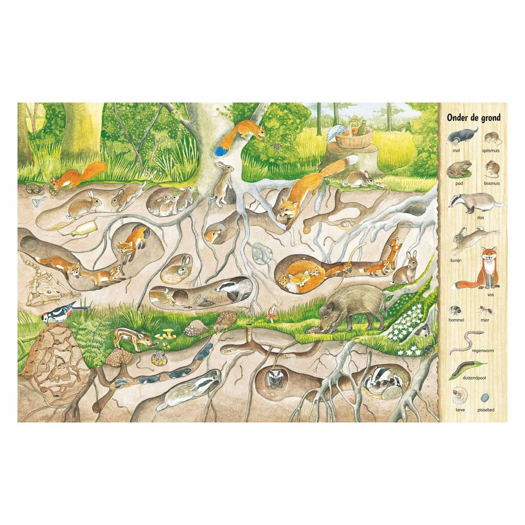 Deltas kijk- en zoekboek - in het bos