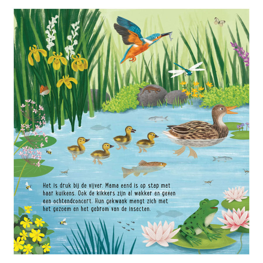 Deltas zoekboek - dieren bij het water
