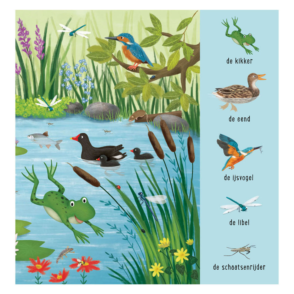 Deltas zoekboek - dieren bij het water