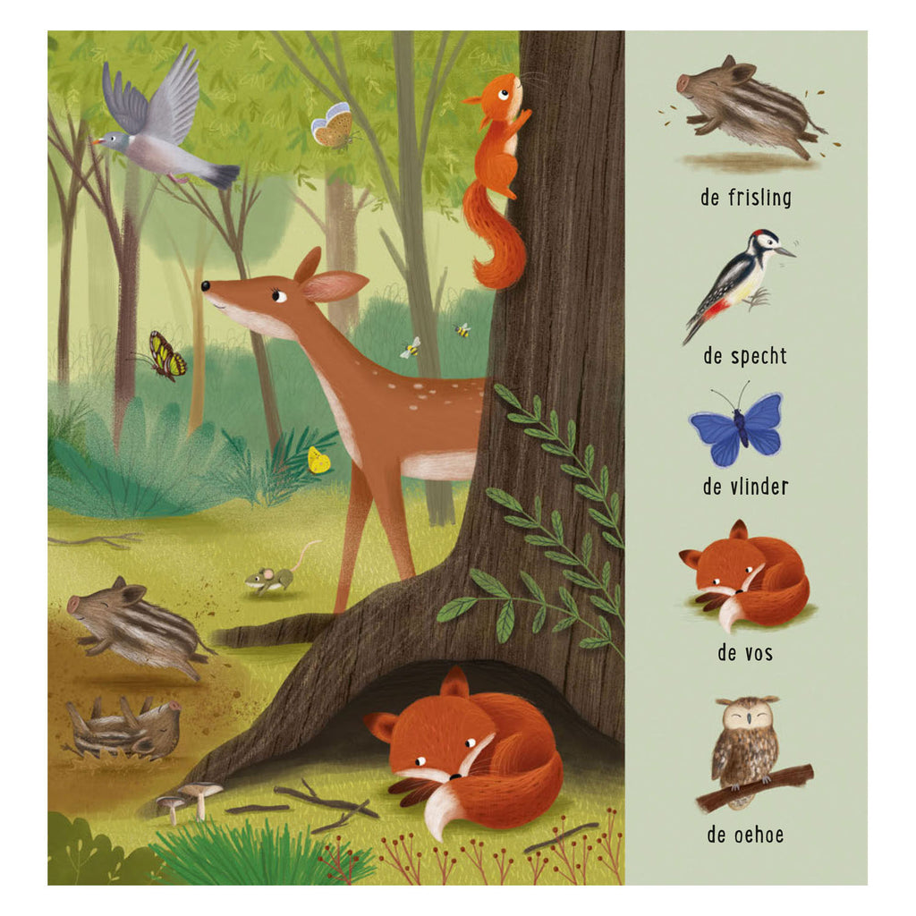 Deltas - Deltas Mijn eerste zoekboek - dieren in het bos