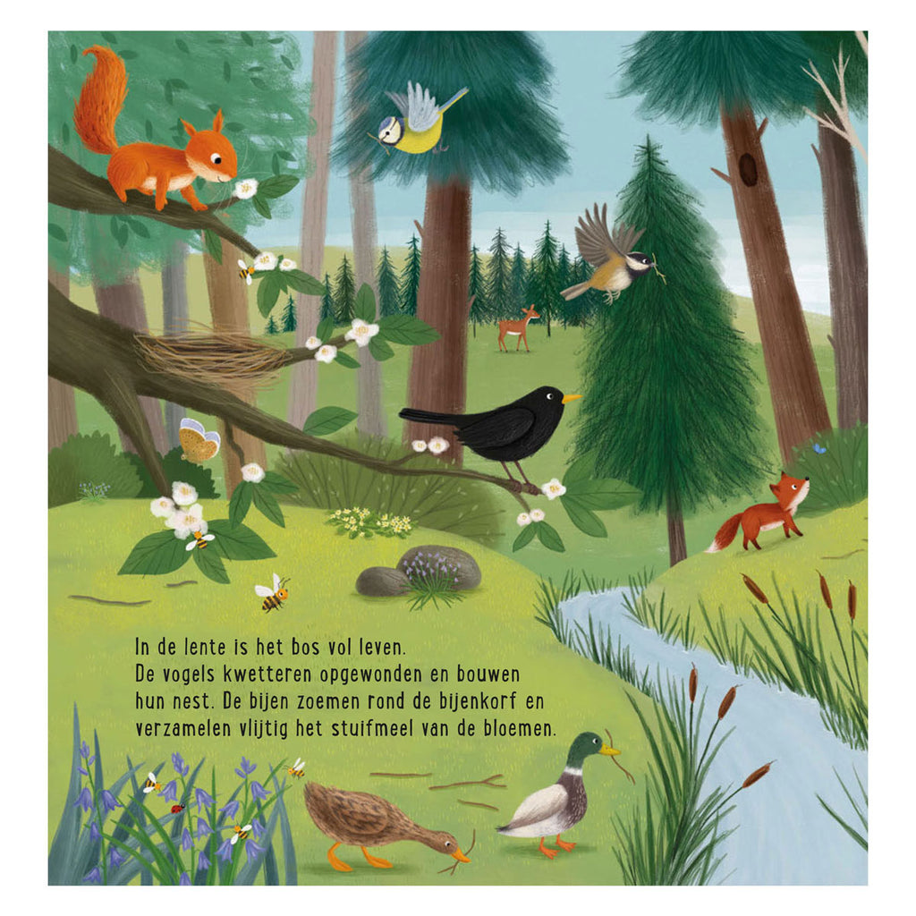 Deltas - Deltas Mijn eerste zoekboek - dieren in het bos