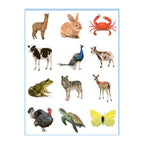 Deltas lieve dieren kleur- en stickerboek - 3-5 jaar