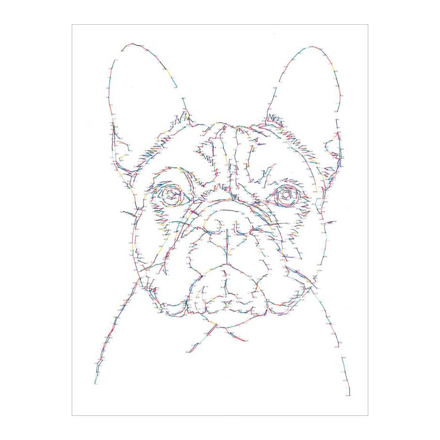 Deltas world of dogs tekenen van punt tot punt