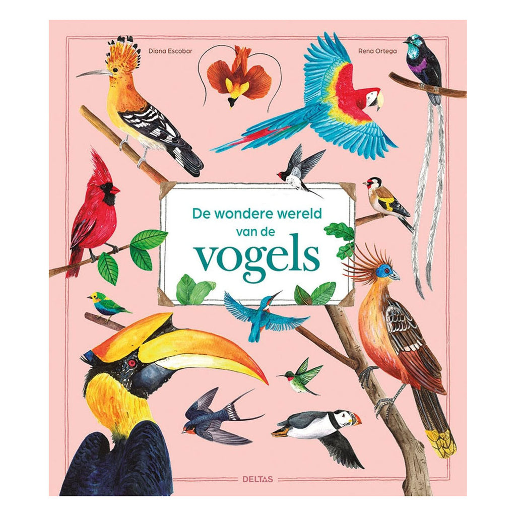 Deltas - Deltas De wondere wereld van vogels