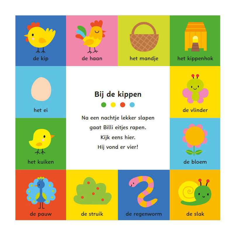 Deltas - Deltas Mijn allereerste woordenboek - spelen en leren met billi kartonboekje
