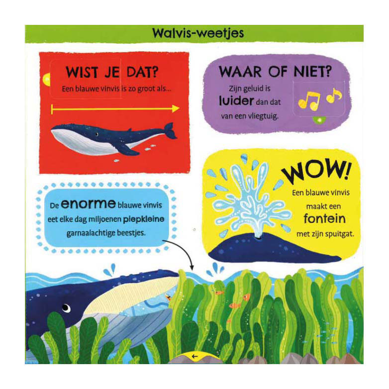 Deltas - Deltas Mijn eerste weetjesboek bij de dieren