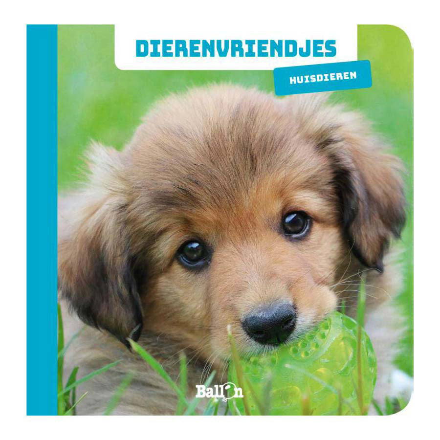 Wins Holland - Wins Holland Dierenvriendjes kartonboekje huisdieren