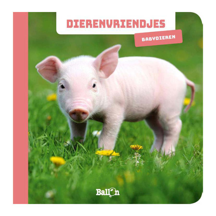 Wins Holland - Wins Holland Dierenvriendjes - fotokijkboek babydieren