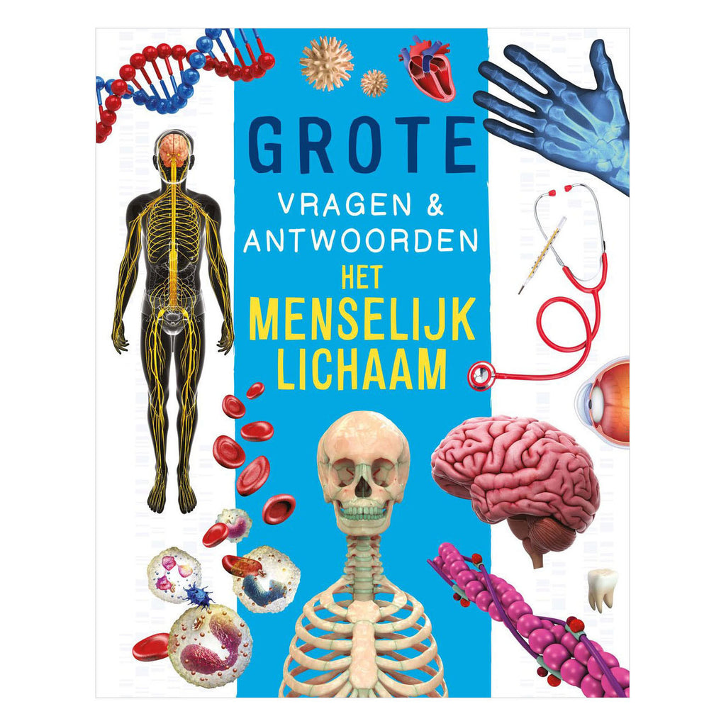 Rebo Publishers - Rebo Publishers Het menselijk lichaam - grote vragen & antwoorden