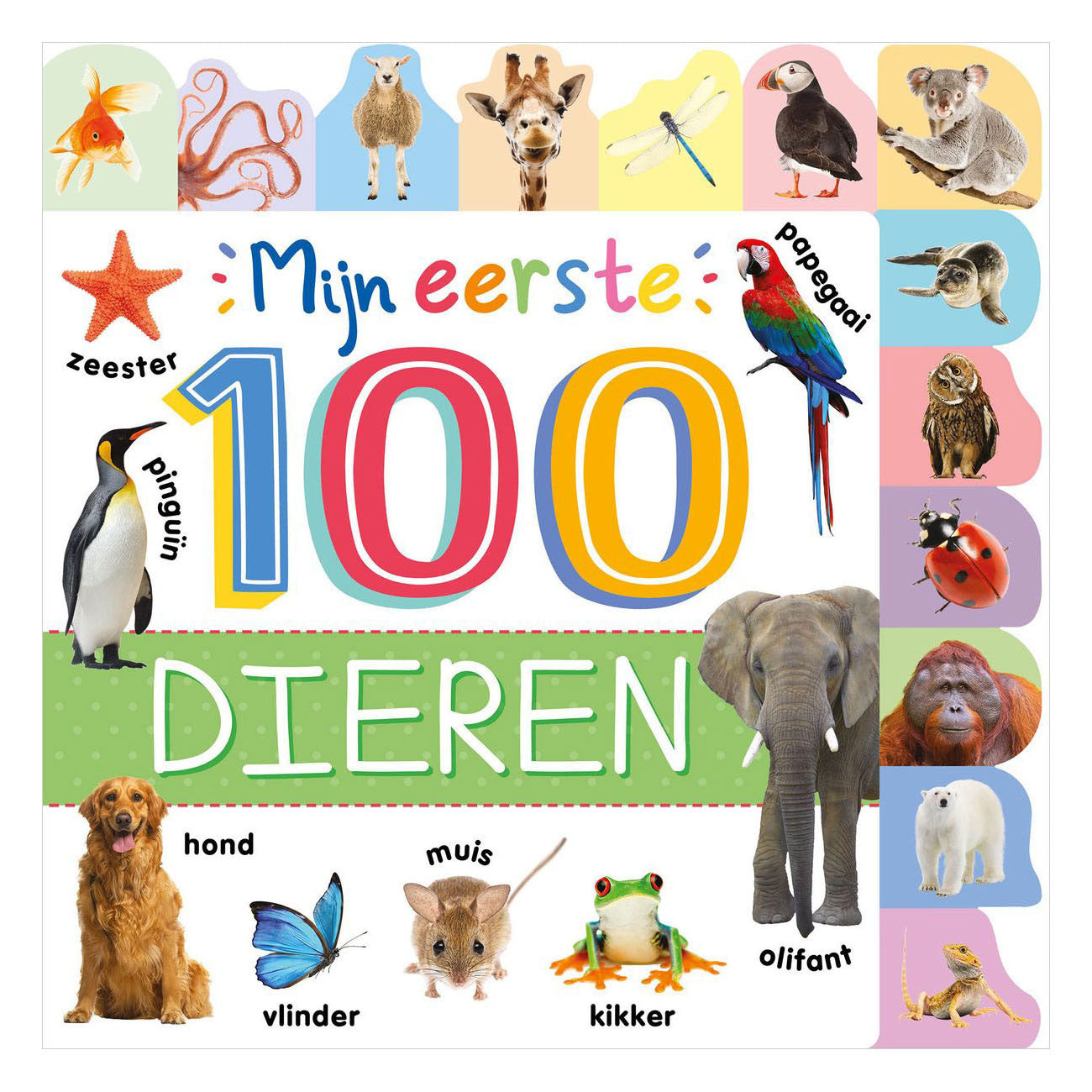 Rebo Publishers - Rebo Publishers Mijn eerste 100 dieren - mijn eerste 100