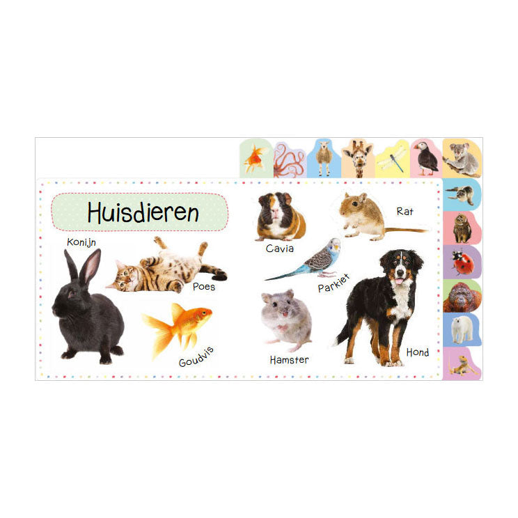 Rebo Publishers - Rebo Publishers Mijn eerste 100 dieren - mijn eerste 100