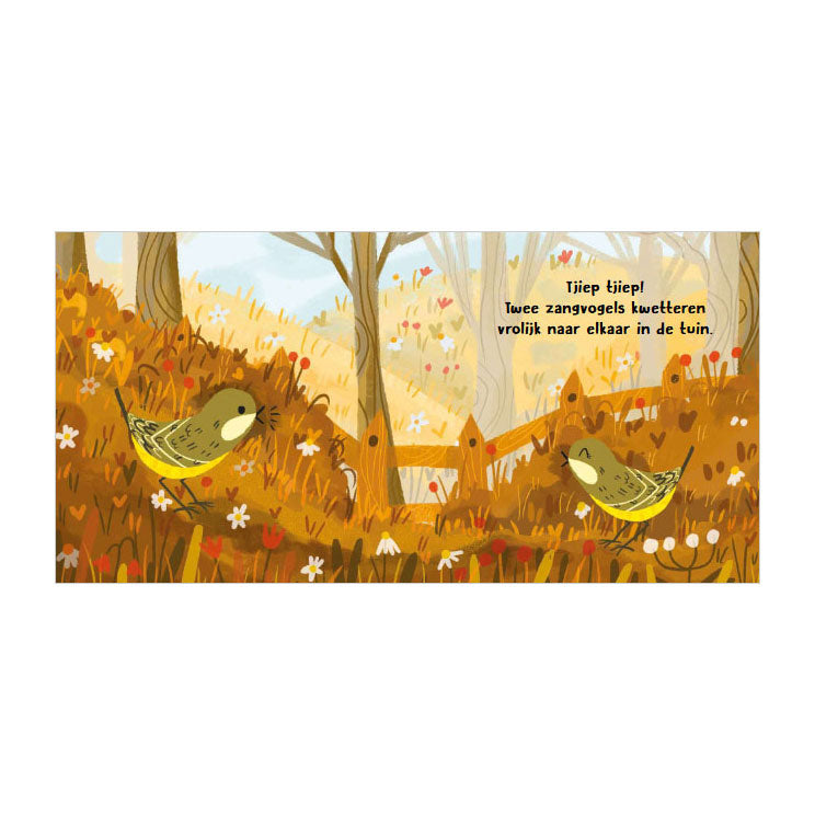 Rebo Publishers - Rebo Publishers Vogels - wat hoor ik daar? - 6 geluiden