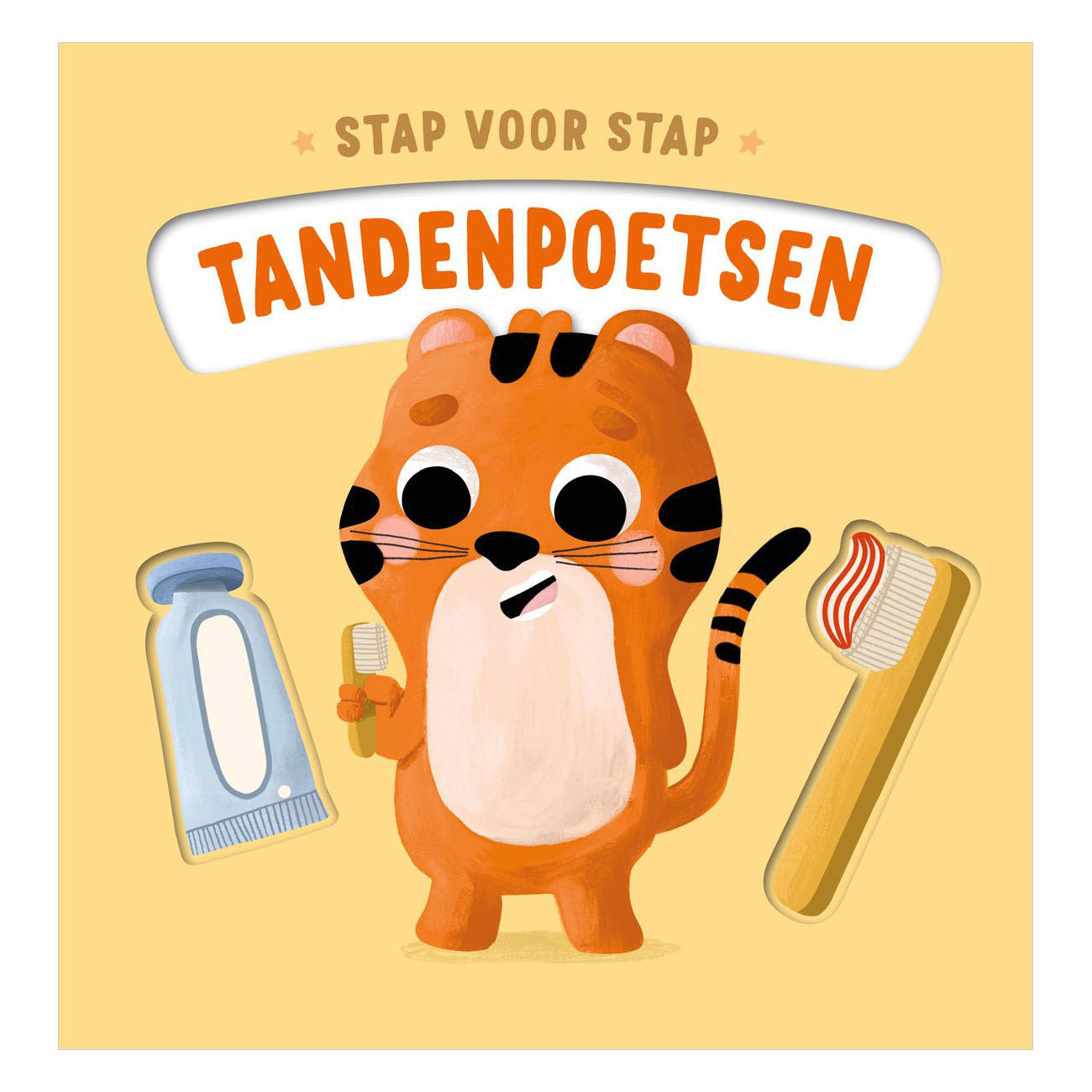 Rebo Publishers - Rebo Publishers Tandenpoetsen - stap voor stap kartonboekje
