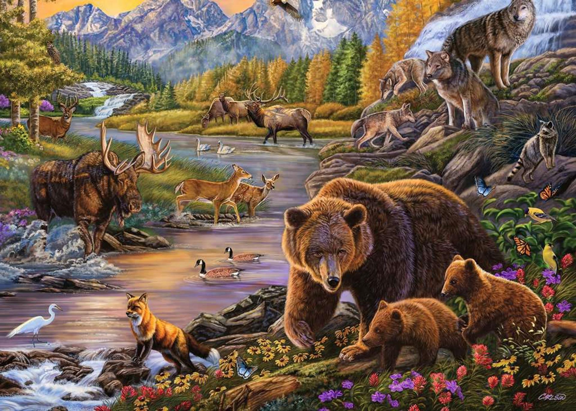 Ravensburger - puzzel wildernis 500st
