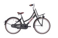 Bike fun kids fiets bikefun 20 rn load meisjes