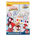Canenco spidey water verfset boek - incl kwast