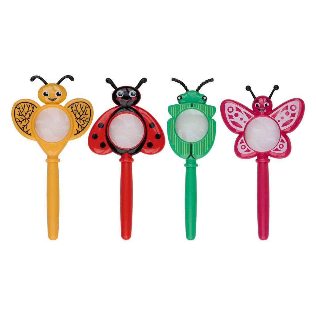 - Vergrootglas Insect