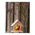 - Vogelvoerhouder Appelhouder