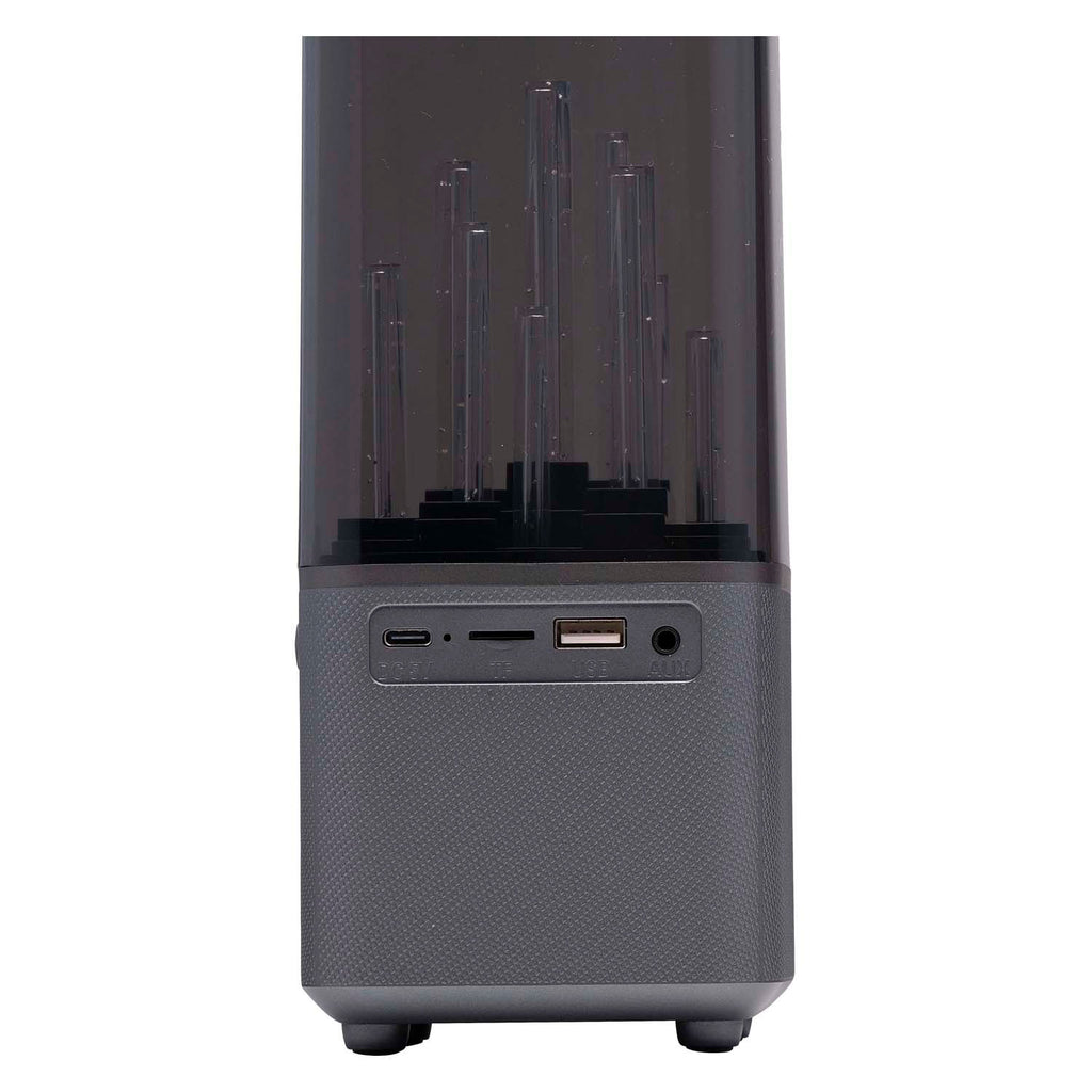 - Bluetooth Speaker met Danslicht