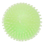 - Squishy Spike Bal