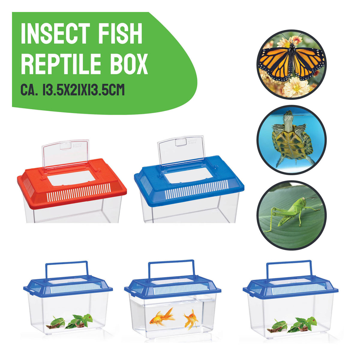 Merkloos sans marque insectenbox met deksel