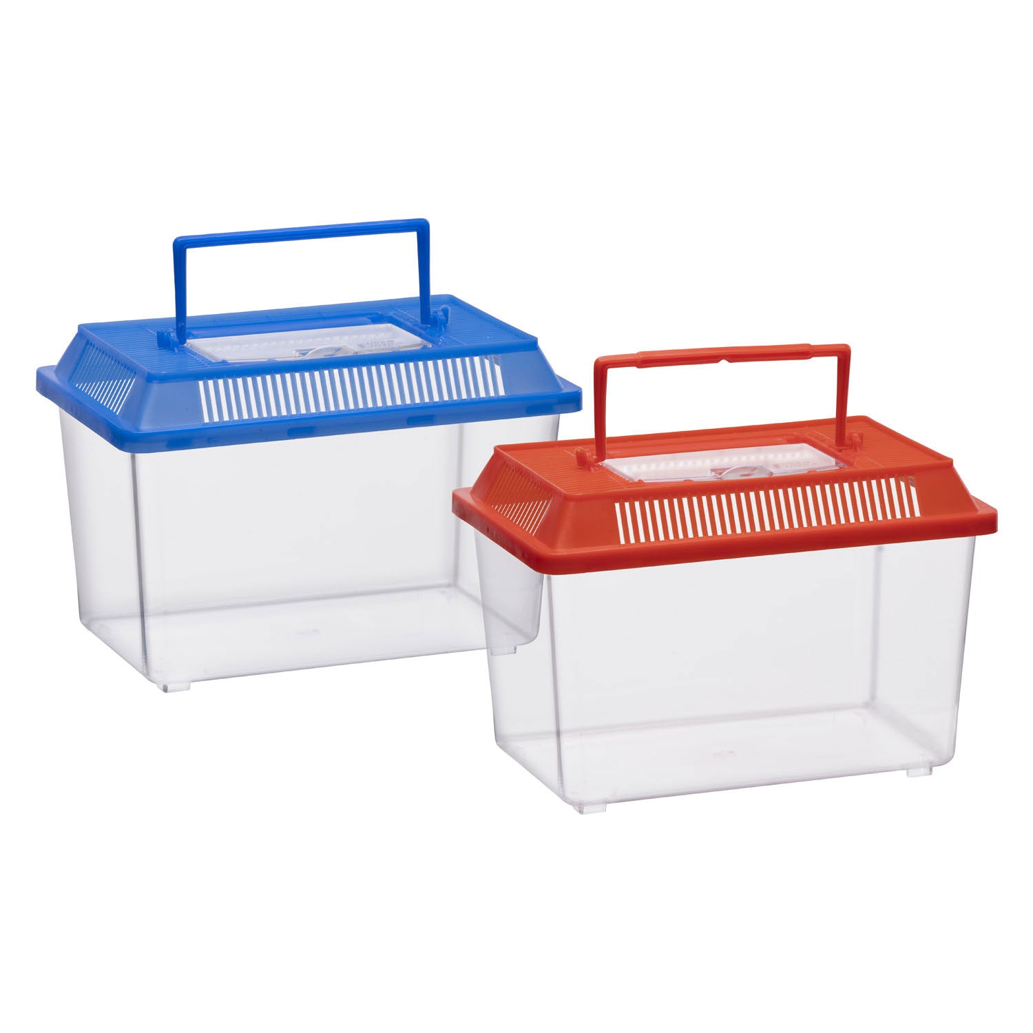Insectenbox met deksel