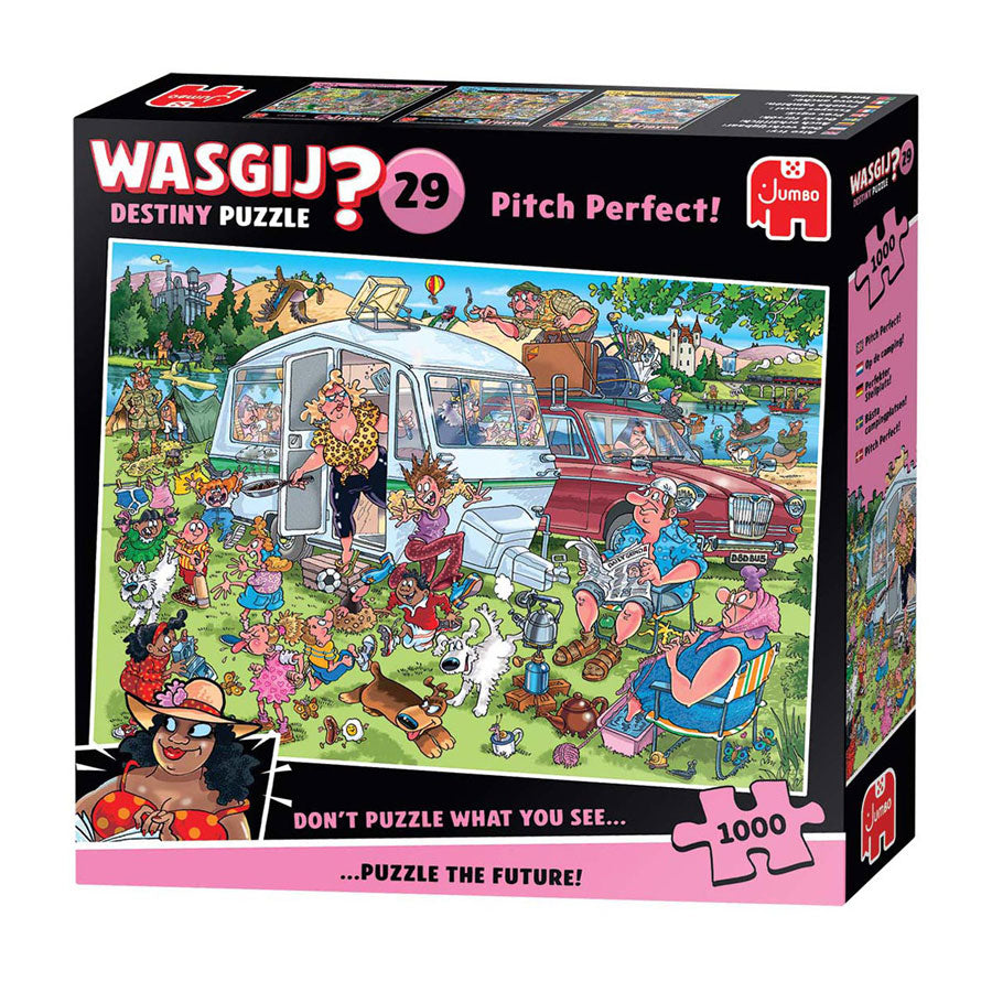 Wasgij - Wasgij destiny 29 legpuzzel - pitch perfect! - 1000st.
