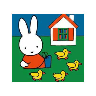 Nijntje ravensburger puzzel 6+9+12+16 stukjes