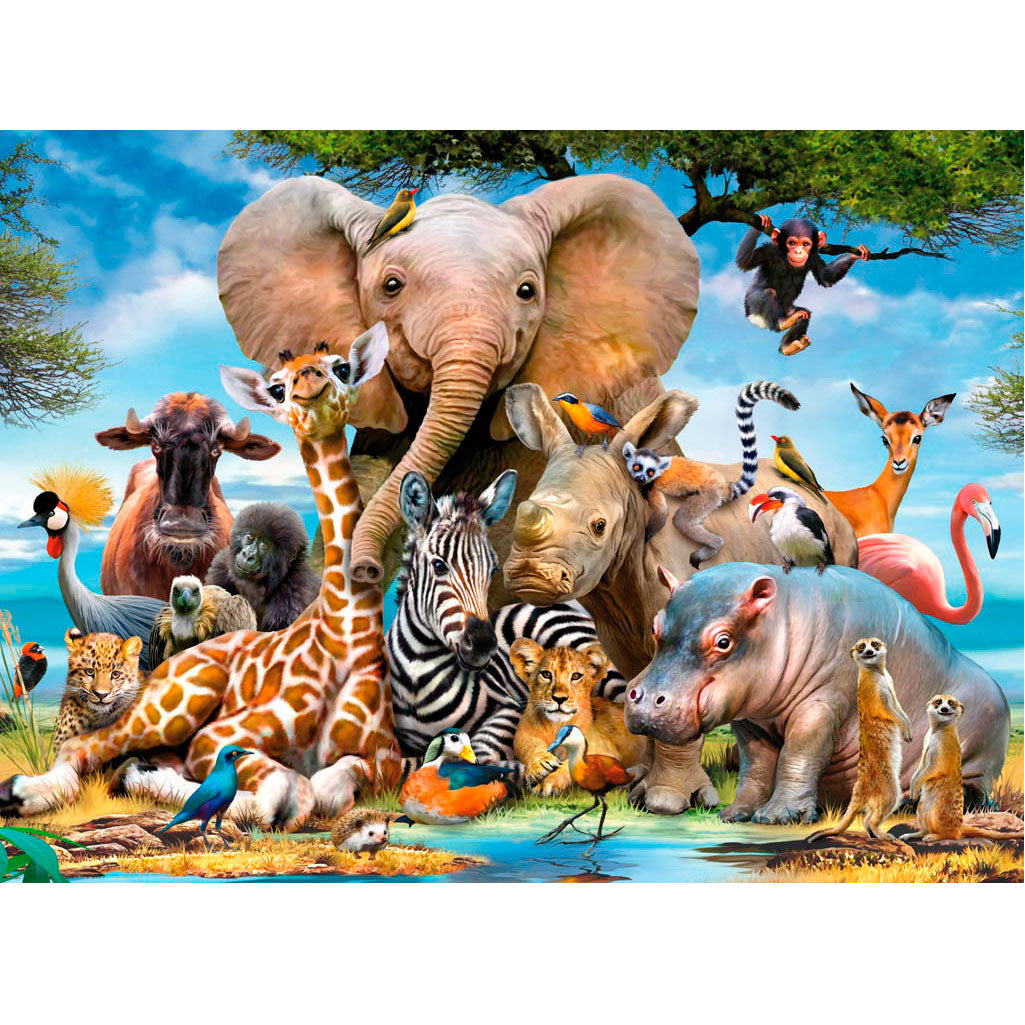 Ravensburger - afrikaanse vrienden 300pcs