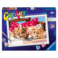 Ravensburger - creart schilderen op nummer - twee knuffelige katten