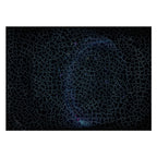 Ravensburger - legpuzzel krypt universe glow 881 stuks