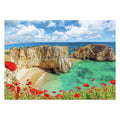 Ravensburger - legpuzzel klaprozen in de algarve portugal 1000st.