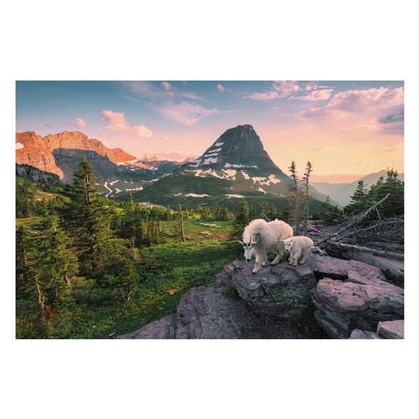 Ravensburger - legpuzzel almbock mit baby 3000st.