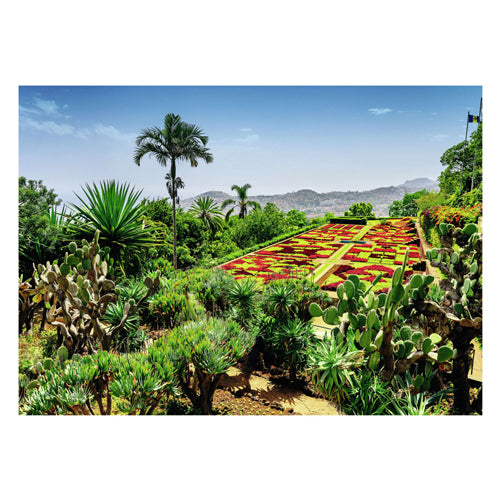Ravensburger puzzel botanical garden, madeira 1000pcs