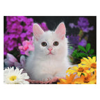 Ravensburger puzzel schitterend katje - legpuzzel - 100 xxl stukjes