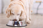 Happy Pet - Happy Pet voerbak antislip