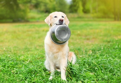 Happy Pet - Happy Pet voerbak rvs