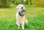 Happy Pet - Happy Pet voerbak rvs