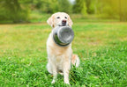 Happy Pet - Happy Pet voerbak rvs