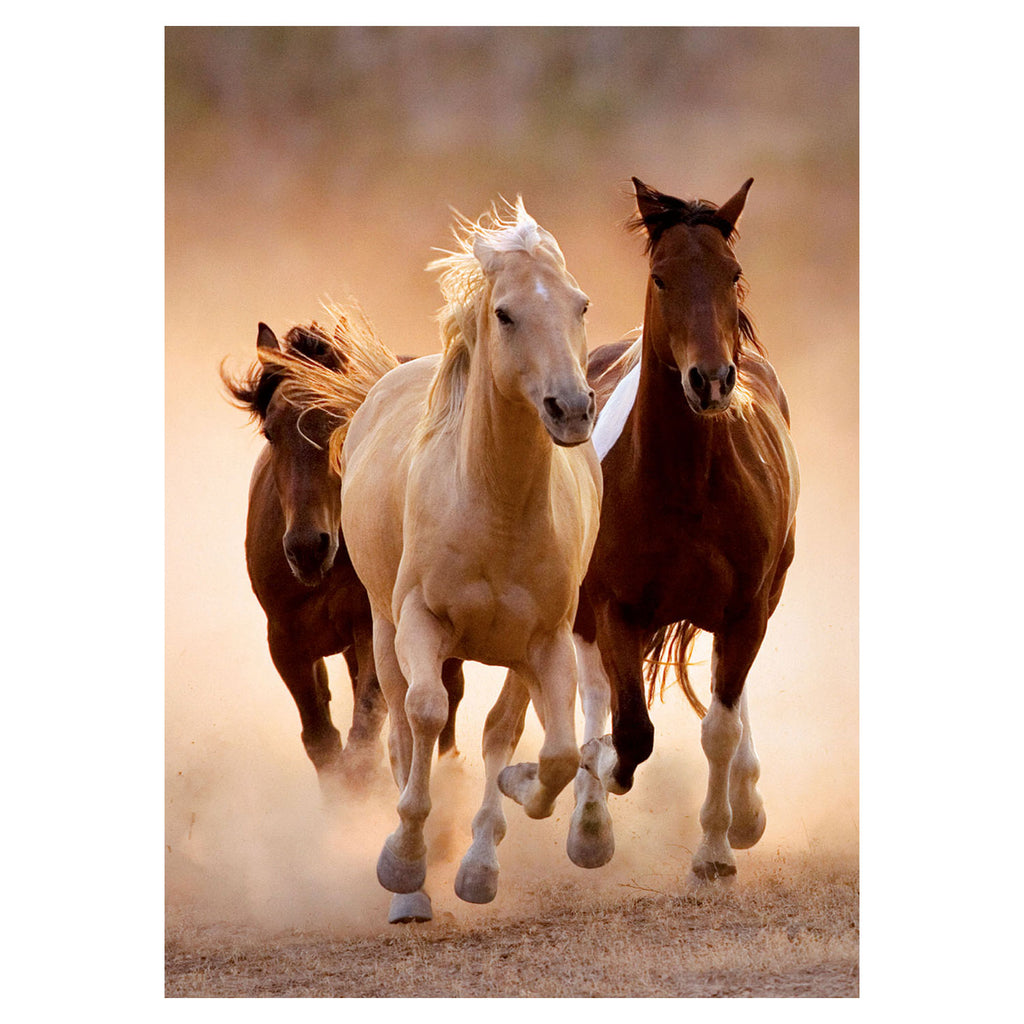 Clementoni puzzel high quality 1000 stukjes rennende paarden