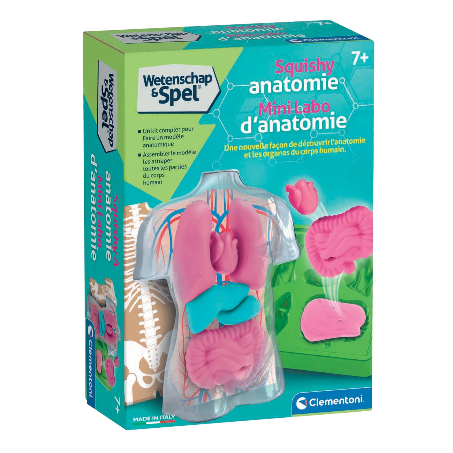Clementoni - wetenschap & spel - squishy anatomie