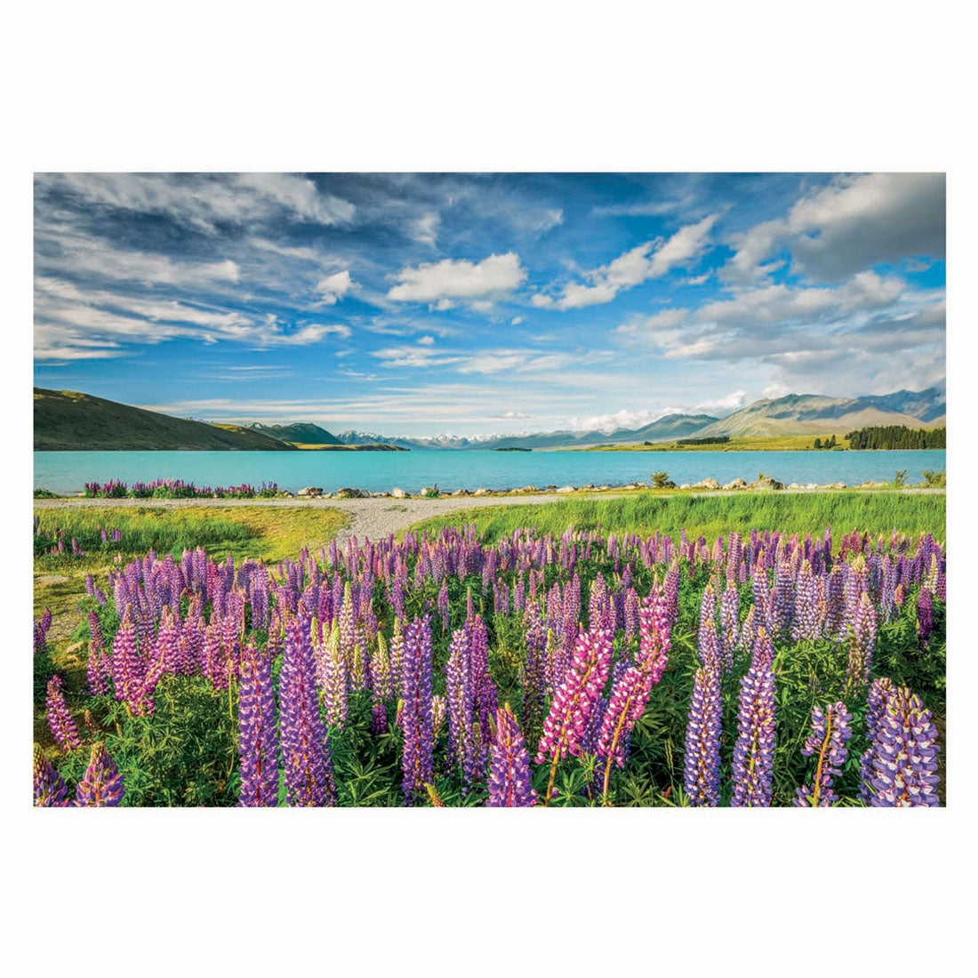 Clementoni - legpuzzel bloemen bij lake tekapo 1500st.